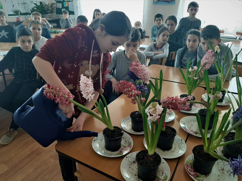 Flori pentru Mărțișor: UE ajută elevii din Moldova să crească flori pentru sărbătoarea primăverii