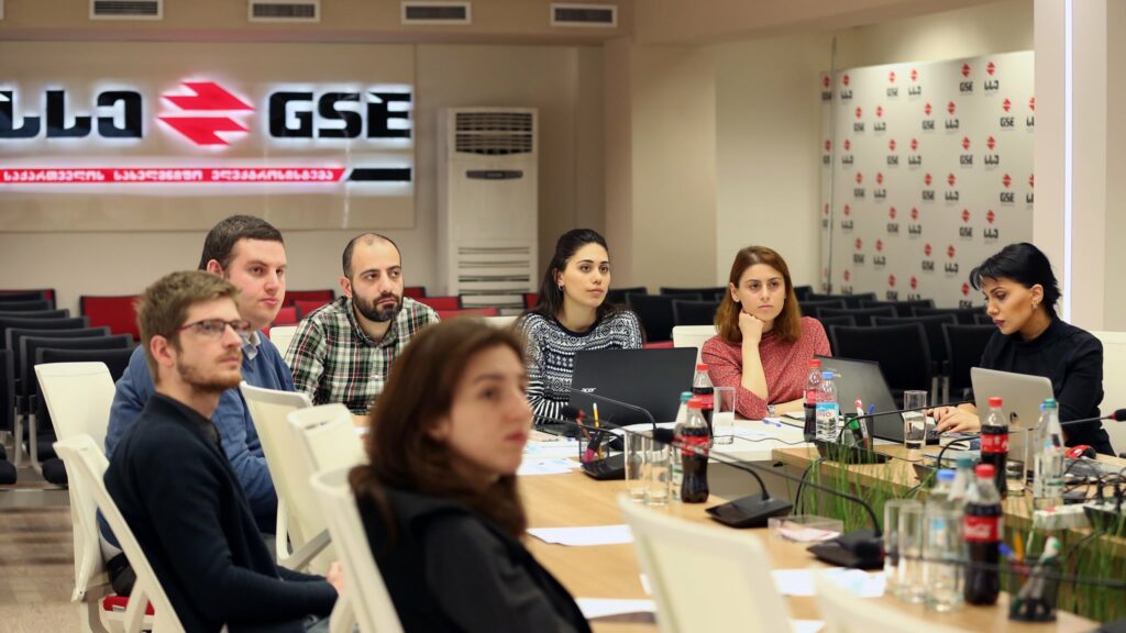 Обеспечение граждан Грузии достаточным количеством электроэнергии