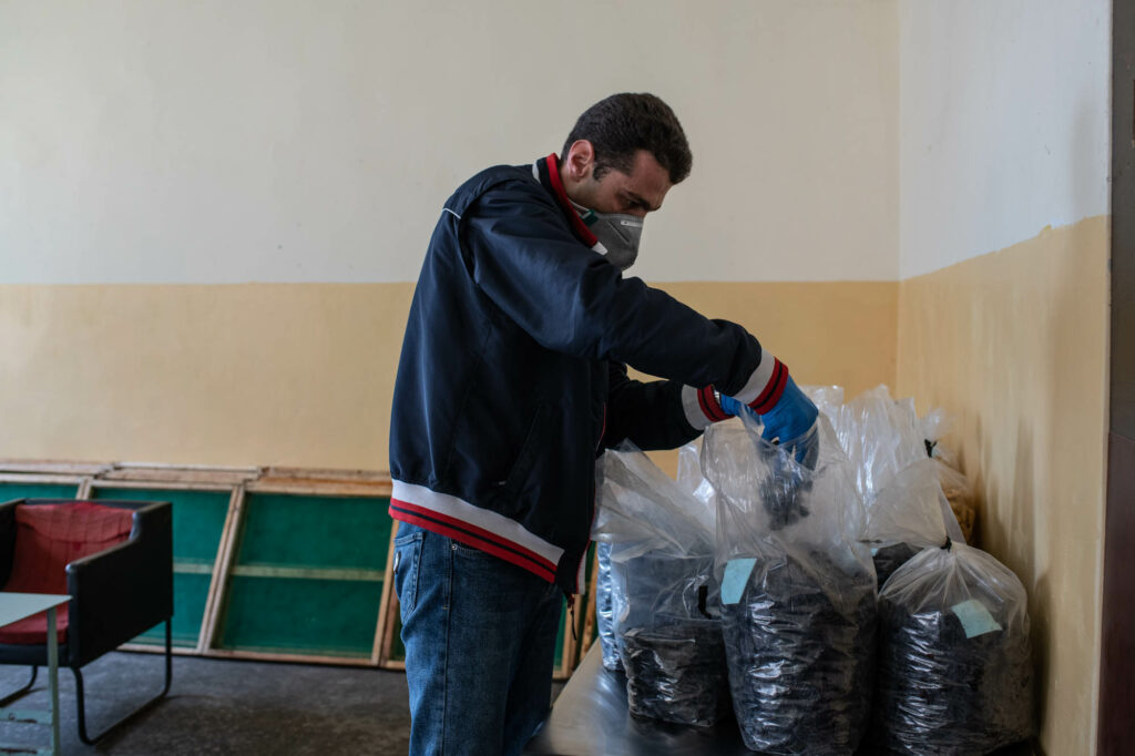 Производство натуральных сухофруктов при поддержке EU4Youth: как молодой человек из Армении добился успеха
