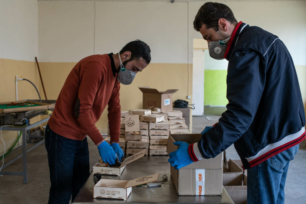 Производство натуральных сухофруктов при поддержке EU4Youth: как молодой человек из Армении добился успеха