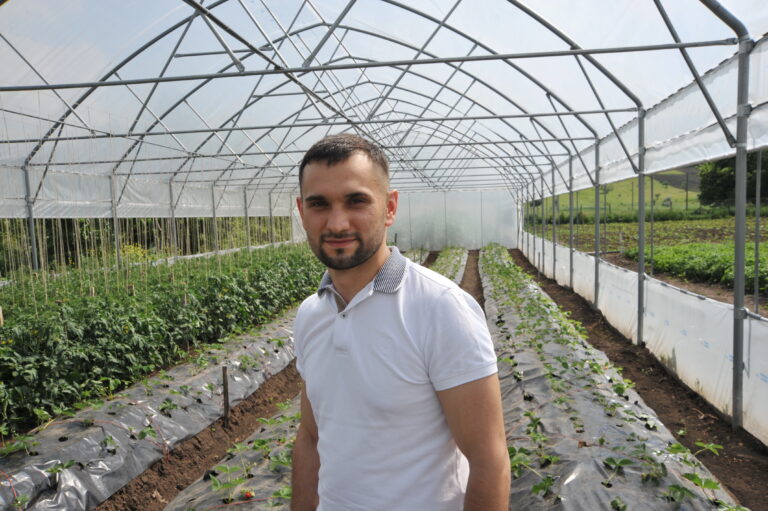 Сельское хозяйство на экране смартфона. Как малый агробизнес Молдовы осваивает цифровые технологии