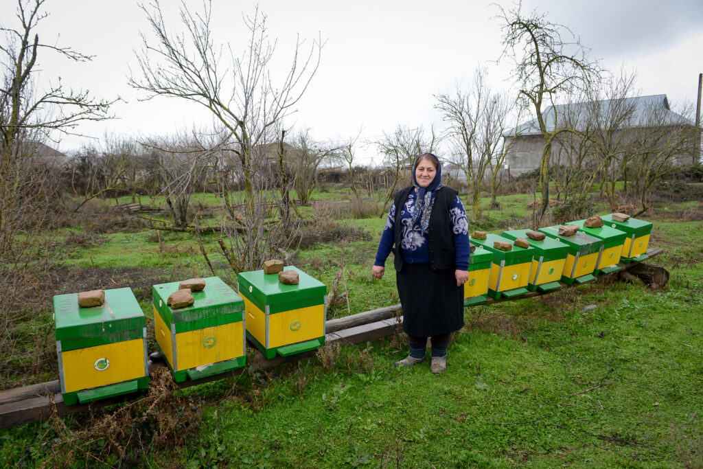 Aytekin Sadiqova and her honey farm: The revival of a family tradition