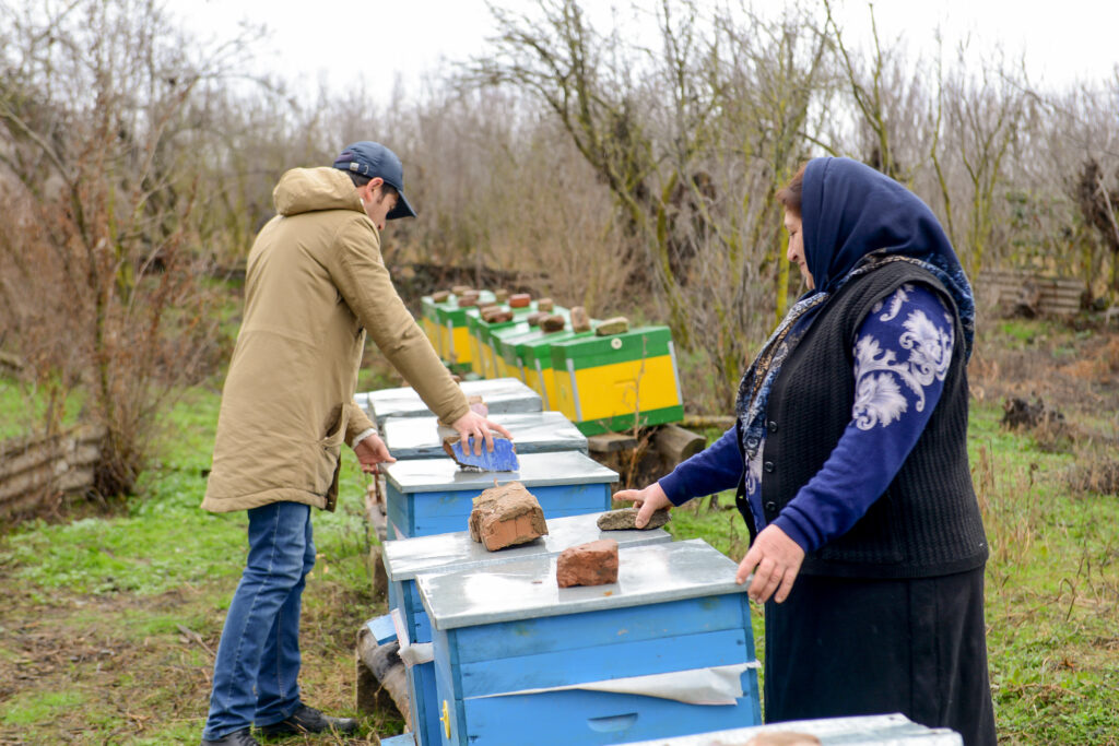 Aytekin Sadiqova and her honey farm: The revival of a family tradition