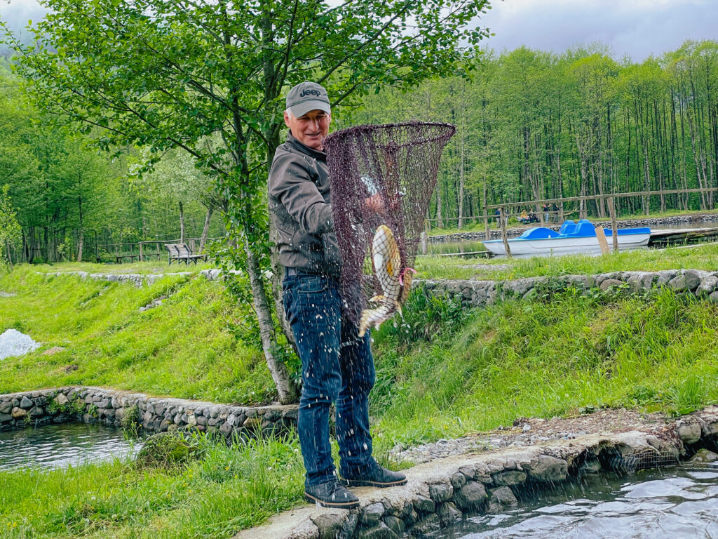 Поддержка зеленой экономики в Грузии: как в высокогорных селах делают биочай и разводят форель