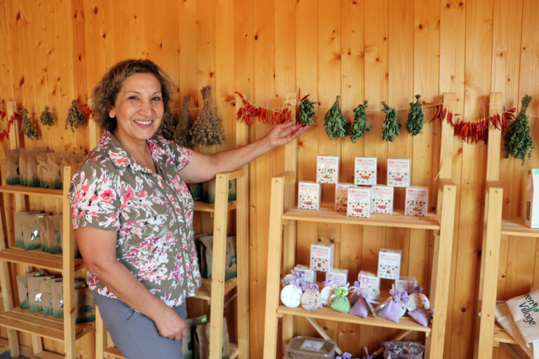 Мед на экспорт и «умный сад»: как в регионах Армении развивают органическое фермерство