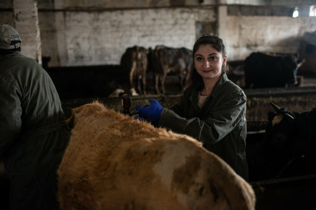 История из Армении: Как проект ЕС поддержал первую женщину с инвалидностью в Гаваре, которая решила заняться ветеринарией