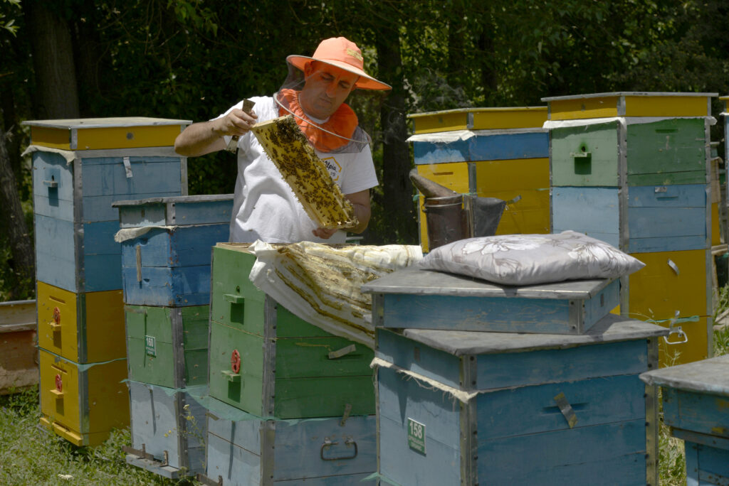 Օրգանիկ մեղր և «խելացի այգի»․ ինչպես է Հայաստանի մարզերում զարգանում կայուն գյուղատնտեսությունը