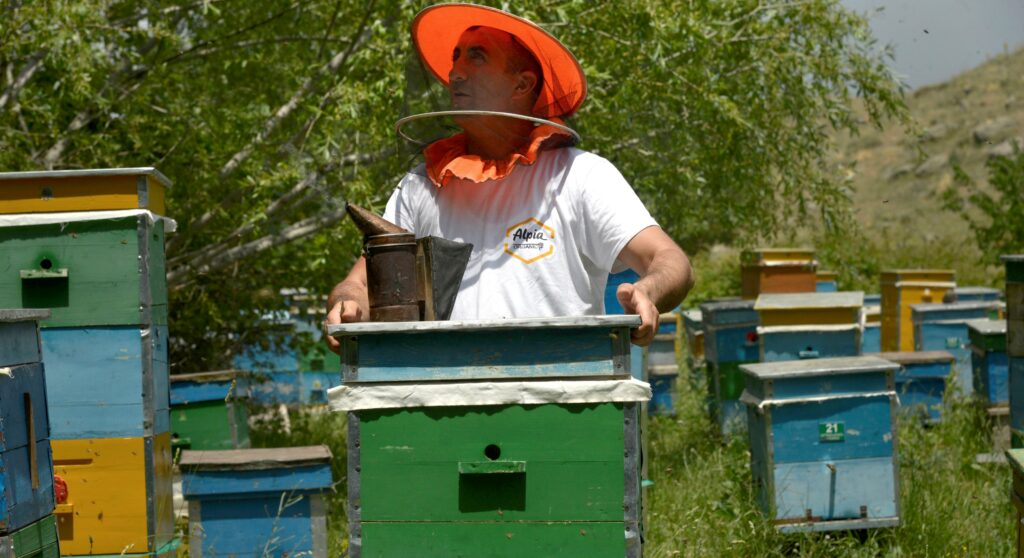 Мед на экспорт и «умный сад»: как в регионах Армении развивают органическое фермерство
