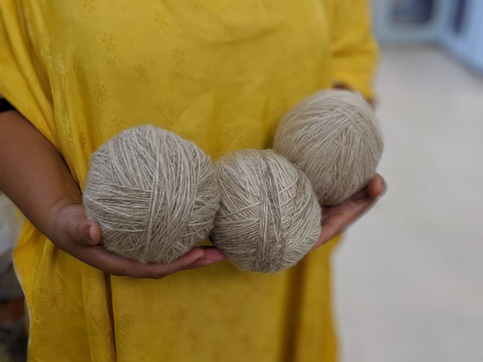 Фабрика по переработке шерсти, основанная ЕС, создает рабочие места в Армении