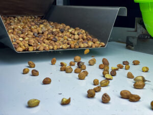 From farm to international market: supporting hazelnut production in Georgia
