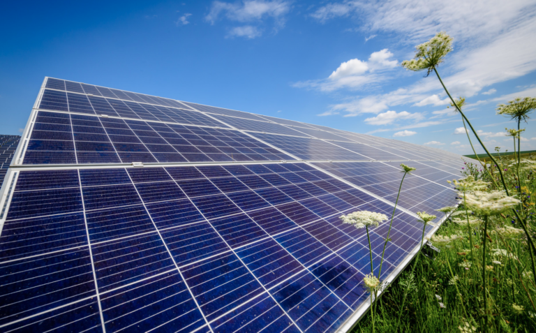 Энергетическое сообщество начинает сотрудничество с Международным агентством по возобновляемым источникам энергии