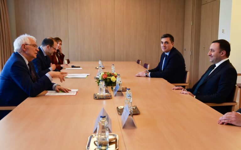 Georgia: High Representative Borrell meets Prime Minister Garibashvili