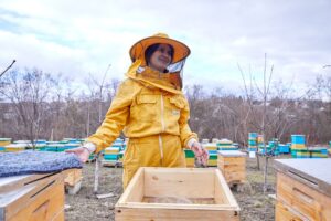 The women who tamed the bees: how to develop business in a traditionally male area