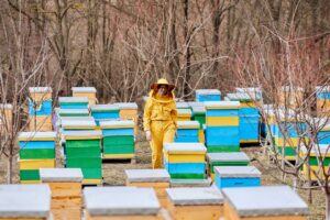 Femeile care au îmblânzit albinele. Cum să dezvolți o afacere într-un domeniu tradițional bărbătesc