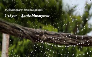 EU4Climate in Azerbaijan: Only One Earth photo contest announces its winners