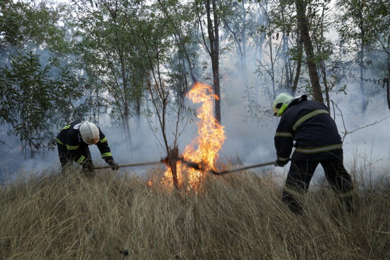 Firefighters extinguish a fire in a forest after a Russian missile strike near the village of Vesniane, as Russia's attack on Ukraine continues, outside Mykolaiv, Ukraine August 8, 2022. @Reuters