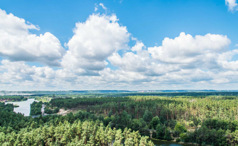 В Украине пройдет форум по проблемам леса – зарегистрируйтесь для участия онлайн и оффлайн в Киеве