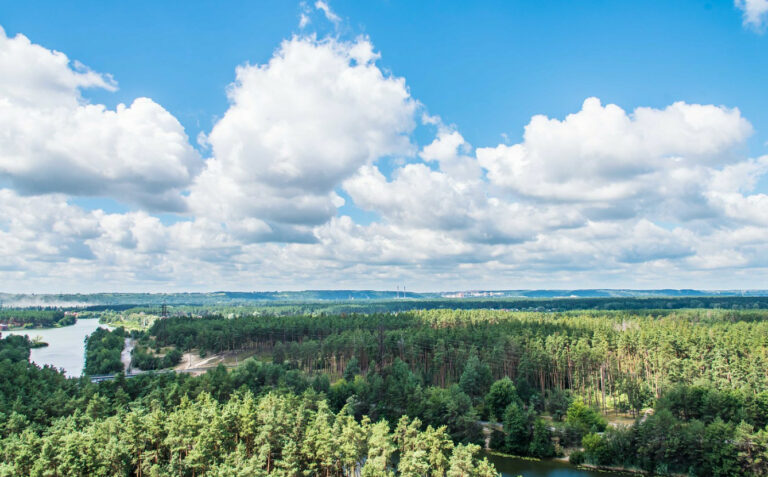 Форум «Ліси України» – зареєструйся для участі в екологічному заході