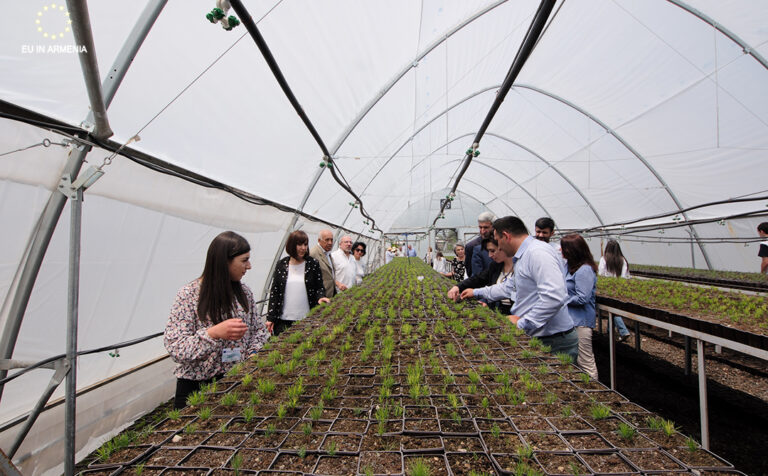EU4Environment: first plant nursery opens in Shirak region in Armenia