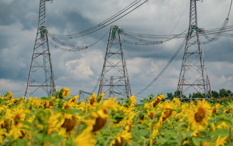 Восстановление Украины: ЕБРР проводит открытый круглый стол по инвестициям в зеленую энергетику