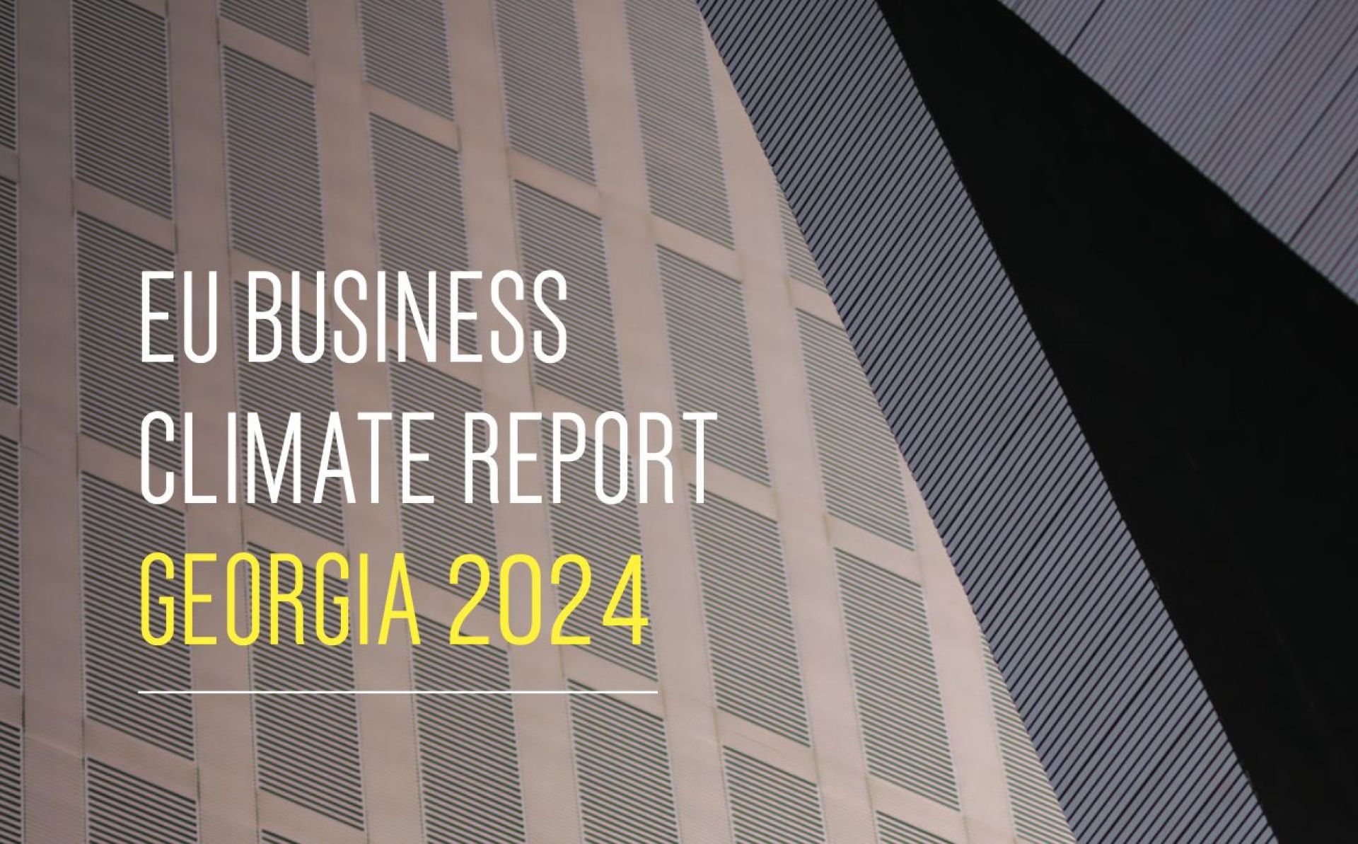 EU Business Climate Report Georgia 2024