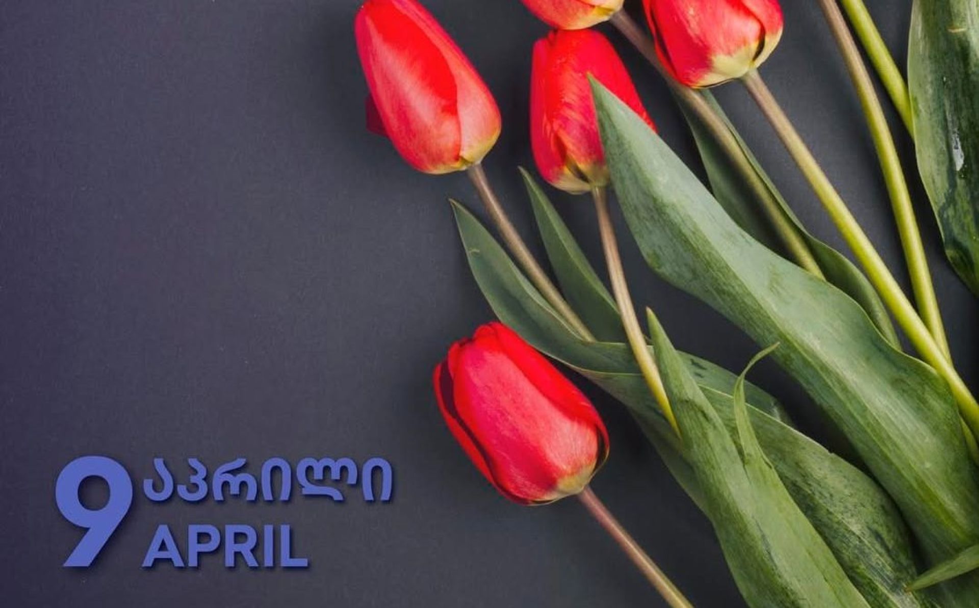 National Unity Day in Georgia: EU joins commemoration of those who died for independence