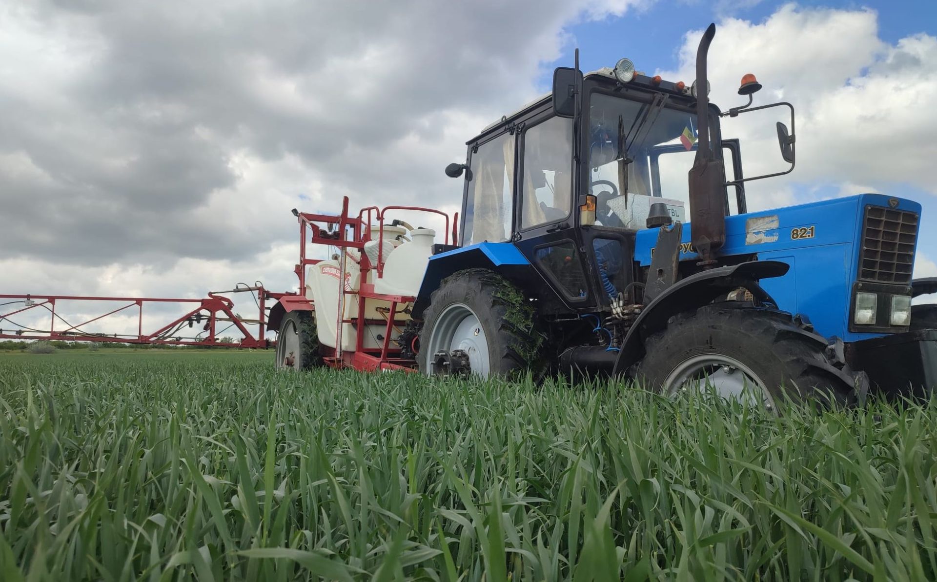 Agricultural panic or opportunity in the EU? Ukraine’s next battle is going to be grain
