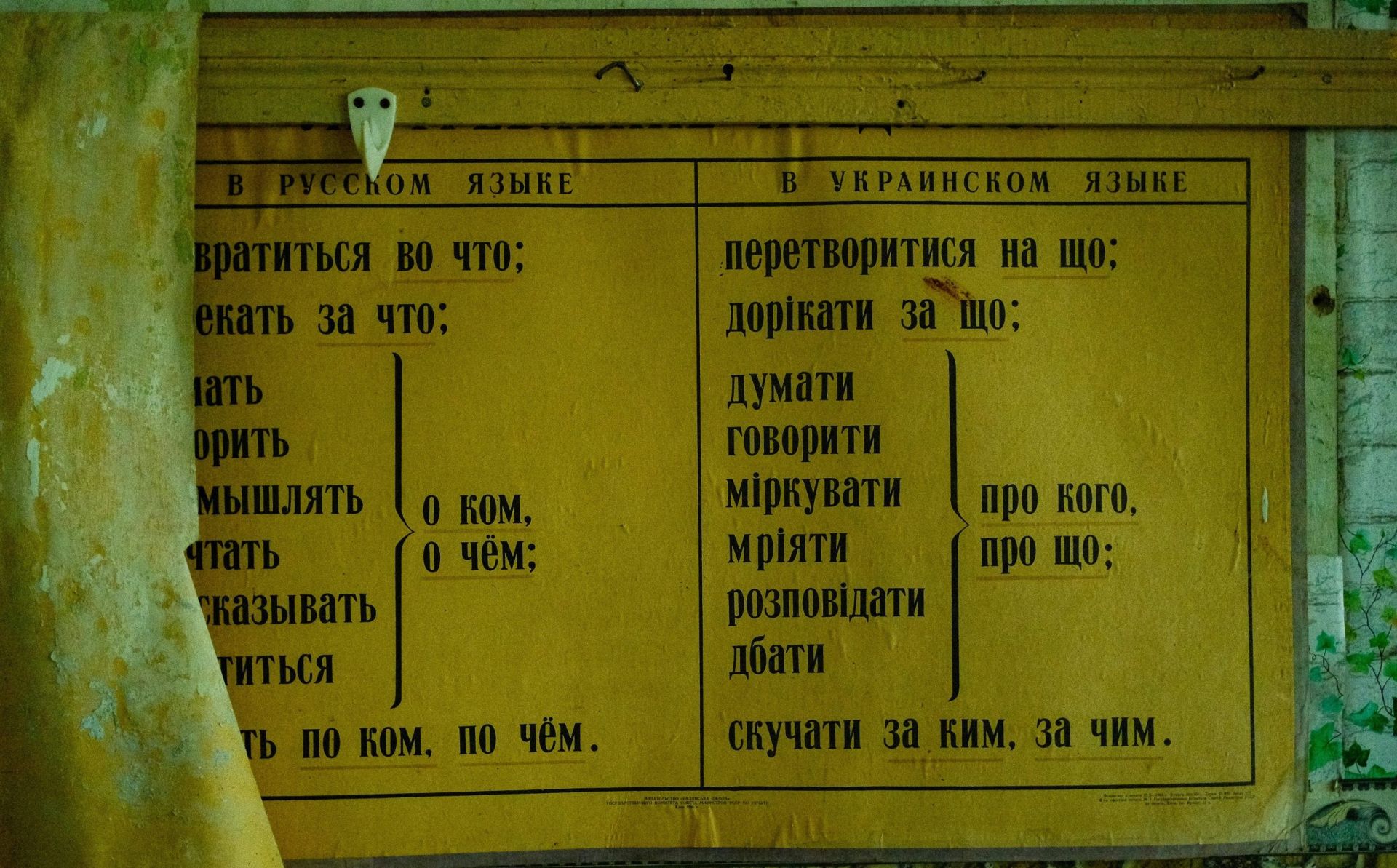 Language as the nation’s DNA: the institutionalisation of Ukrainian within the European administrative architecture