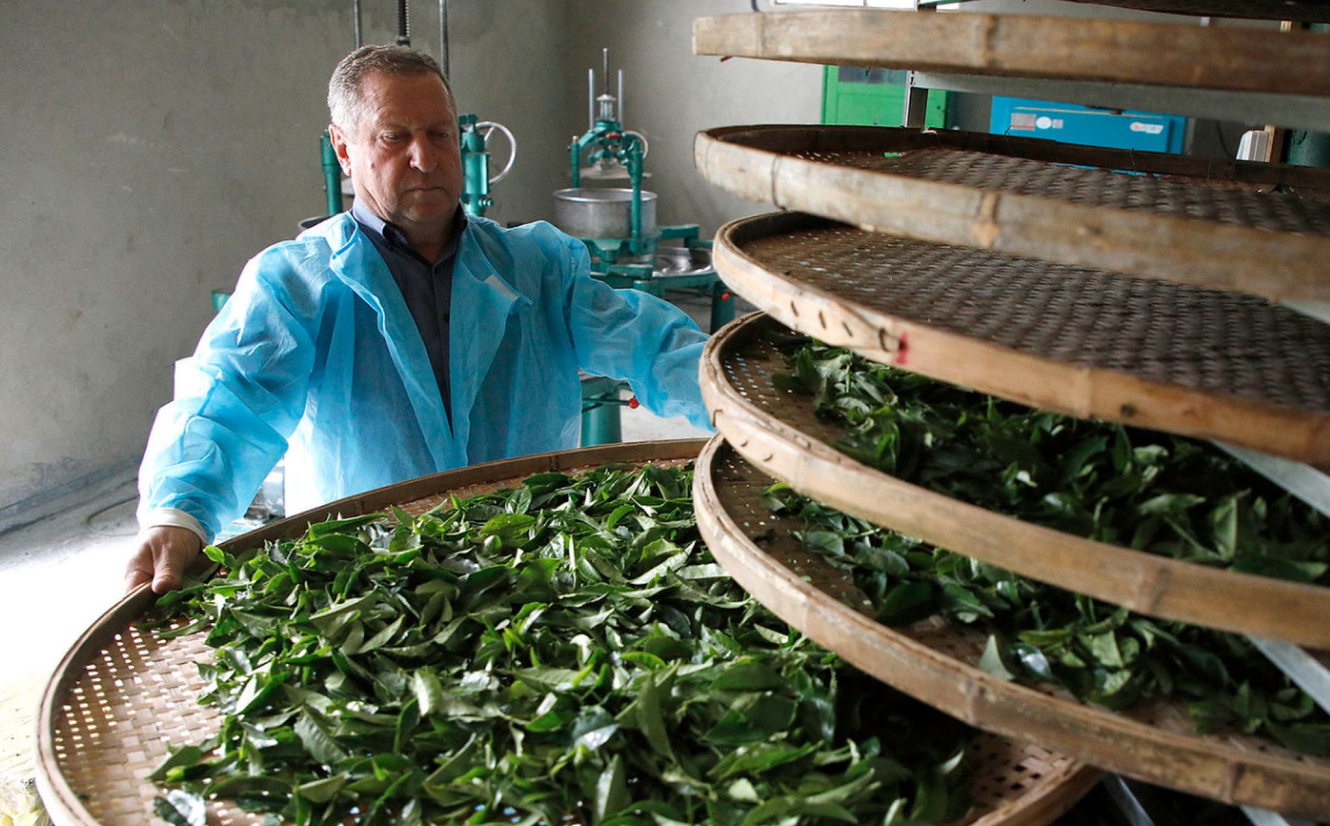 Report on impact of EU Carbon Border Adjustment Mechanism on Georgia’s economy recommends supporting businesses in adopting low-carbon and energy-efficient technologies